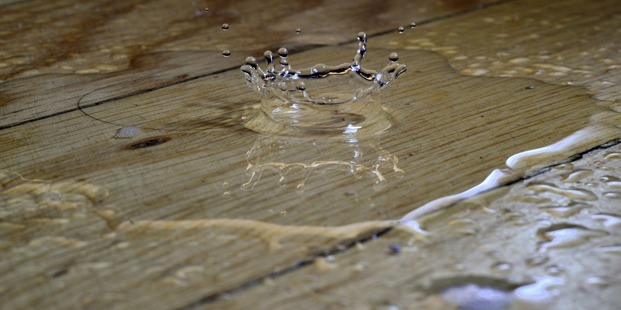 water dripping into a puddle on a wood floor