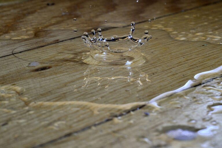 water dripping into a puddle on a wood floor
